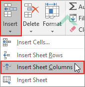 Click Insert and click Insert Sheet Columns