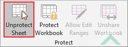 Click Unprotect Sheet