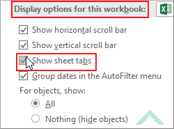 Display options for workbook and check show sheet tabs